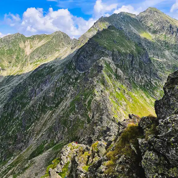 vârfuri de peste 2.500 m